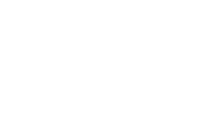BrainCreators_logo_white
