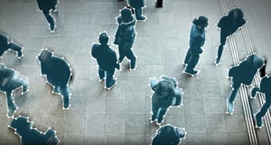 timeline_2019 - ITS A BIRD